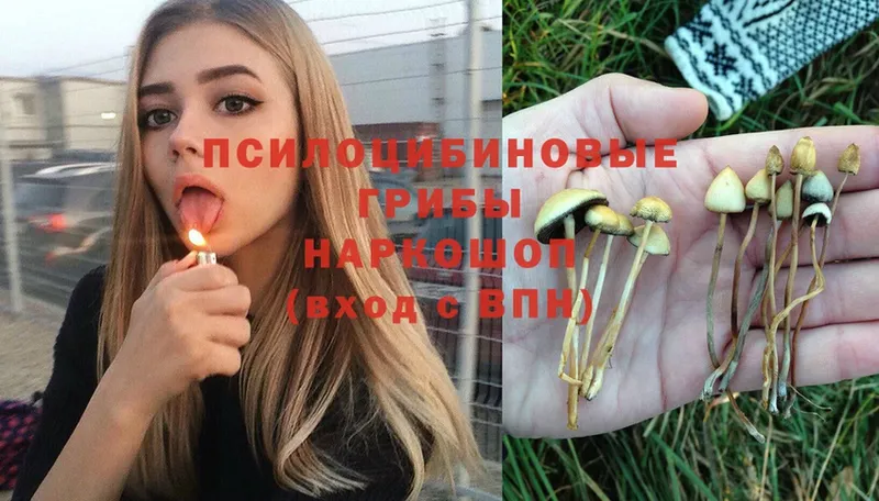 Галлюциногенные грибы MAGIC MUSHROOMS  Ленинск 